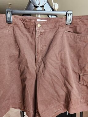 Dress Barn Shorts